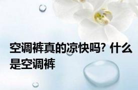 空调裤真的凉快吗? 什么是空调裤