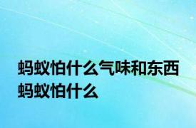 蚂蚁怕什么气味和东西 蚂蚁怕什么