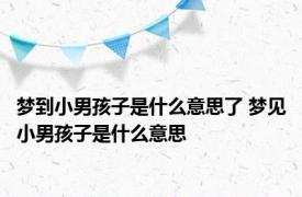 梦到小男孩子是什么意思了 梦见小男孩子是什么意思