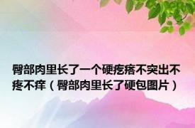 臀部肉里长了一个硬疙瘩不突出不疼不痒（臀部肉里长了硬包图片）