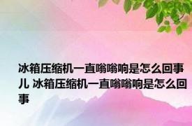 冰箱压缩机一直嗡嗡响是怎么回事儿 冰箱压缩机一直嗡嗡响是怎么回事