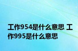 工作954是什么意思 工作995是什么意思