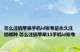 怎么注销苹果手机id账号是永久注销哪种 怎么注销苹果11手机id账号