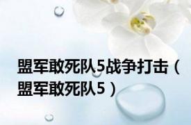 盟军敢死队5战争打击（盟军敢死队5）