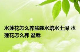 水莲花怎么养盆栽水培水土深 水莲花怎么养 盆栽