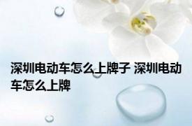 深圳电动车怎么上牌子 深圳电动车怎么上牌