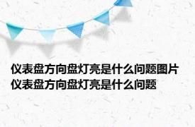 仪表盘方向盘灯亮是什么问题图片 仪表盘方向盘灯亮是什么问题