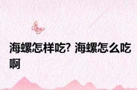 海螺怎样吃? 海螺怎么吃啊