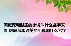 顾庭深和时笙的小说叫什么名字来着 顾庭深和时笙的小说叫什么名字