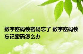 数字密码锁密码忘了 数字密码锁忘记密码怎么办