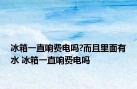 冰箱一直响费电吗?而且里面有水 冰箱一直响费电吗