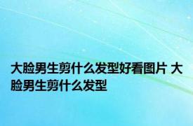 大脸男生剪什么发型好看图片 大脸男生剪什么发型