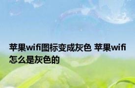 苹果wifi图标变成灰色 苹果wifi怎么是灰色的