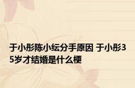 于小彤陈小纭分手原因 于小彤35岁才结婚是什么梗