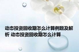 动态投资回收期怎么计算例题及解析 动态投资回收期怎么计算