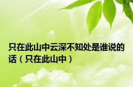 只在此山中云深不知处是谁说的话（只在此山中）