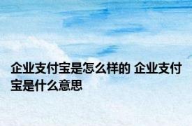 企业支付宝是怎么样的 企业支付宝是什么意思