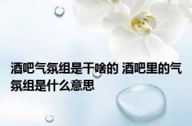 酒吧气氛组是干啥的 酒吧里的气氛组是什么意思