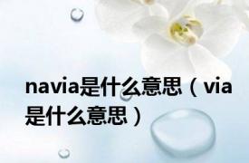 navia是什么意思（via是什么意思）