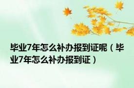 毕业7年怎么补办报到证呢（毕业7年怎么补办报到证）