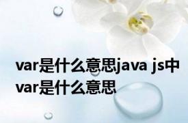 var是什么意思java js中var是什么意思