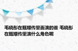 毛晓彤在甄嬛传里面演的谁 毛晓彤在甄嬛传里演什么角色呢