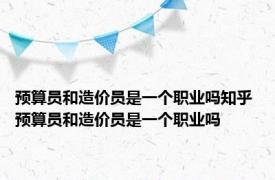 预算员和造价员是一个职业吗知乎 预算员和造价员是一个职业吗