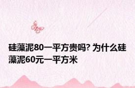 硅藻泥80一平方贵吗? 为什么硅藻泥60元一平方米