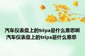 汽车仪表盘上的tripa是什么意思啊 汽车仪表盘上的tripa是什么意思