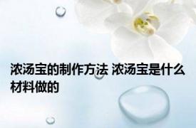 浓汤宝的制作方法 浓汤宝是什么材料做的