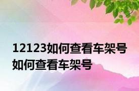 12123如何查看车架号 如何查看车架号