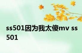 ss501因为我太傻mv ss501 