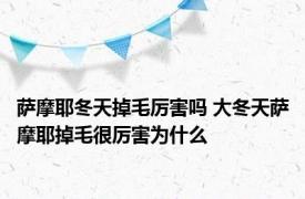 萨摩耶冬天掉毛厉害吗 大冬天萨摩耶掉毛很厉害为什么