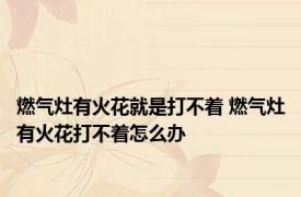 燃气灶有火花就是打不着 燃气灶有火花打不着怎么办