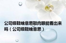 公司级鞋啥意思鞋肉眼能看出来吗（公司级鞋啥意思）