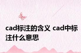 cad标注的含义 cad中标注什么意思