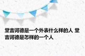 堂吉诃德是一个外表什么样的人 堂吉诃德是怎样的一个人