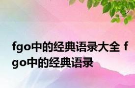 fgo中的经典语录大全 fgo中的经典语录