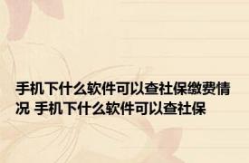 手机下什么软件可以查社保缴费情况 手机下什么软件可以查社保