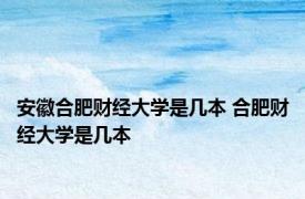 安徽合肥财经大学是几本 合肥财经大学是几本