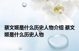 蔡文姬是什么历史人物介绍 蔡文姬是什么历史人物