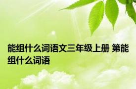 能组什么词语文三年级上册 第能组什么词语