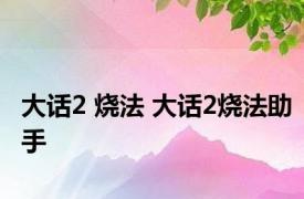 大话2 烧法 大话2烧法助手 