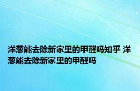 洋葱能去除新家里的甲醛吗知乎 洋葱能去除新家里的甲醛吗