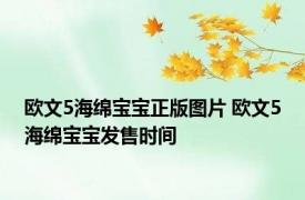 欧文5海绵宝宝正版图片 欧文5海绵宝宝发售时间