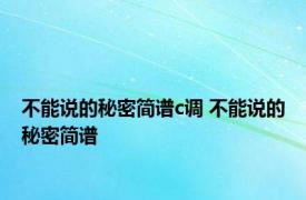 不能说的秘密简谱c调 不能说的秘密简谱 