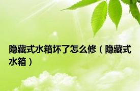 隐藏式水箱坏了怎么修（隐藏式水箱）