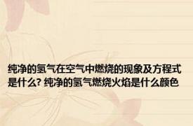 纯净的氢气在空气中燃烧的现象及方程式是什么? 纯净的氢气燃烧火焰是什么颜色