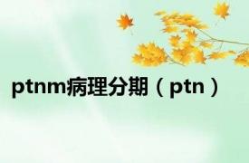 ptnm病理分期（ptn）