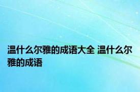 温什么尔雅的成语大全 温什么尔雅的成语